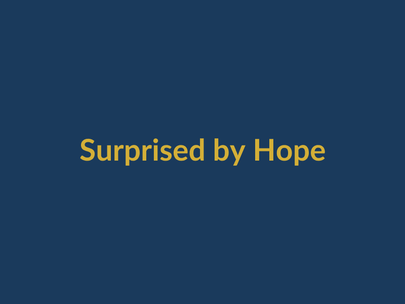 surprised-by-hope